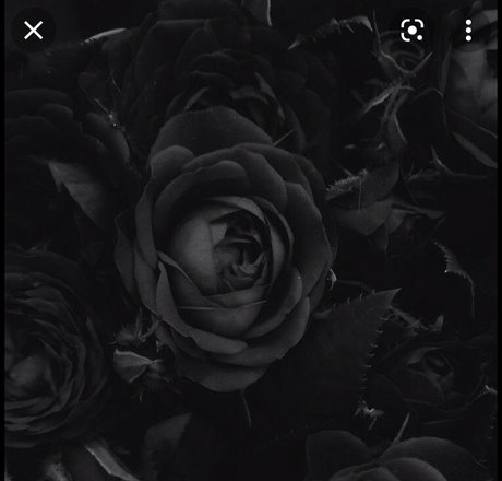 Foto desnuda filtrada de OnlyFans de Santeria