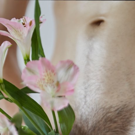 Foto desnuda filtrada de OnlyFans de Sahueso Vip 