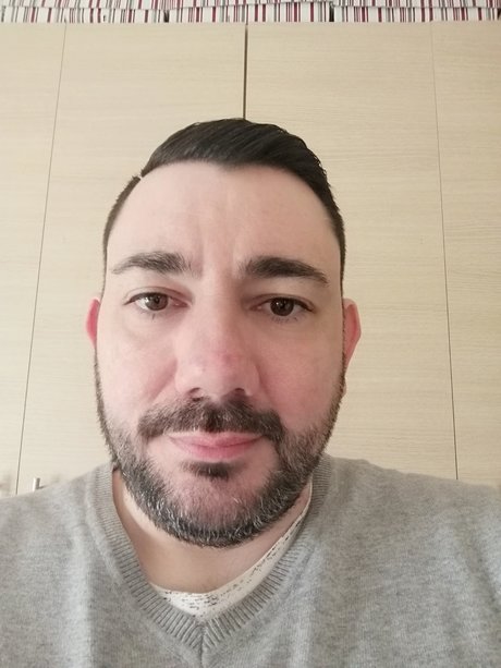 Fat Bear