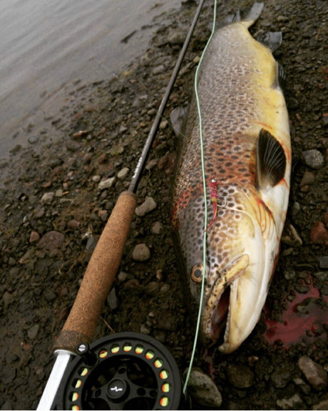 Onlyfish
