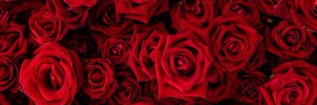 Foto desnuda filtrada de OnlyFans de A