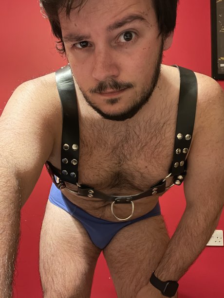 Teddy Bear Lx
