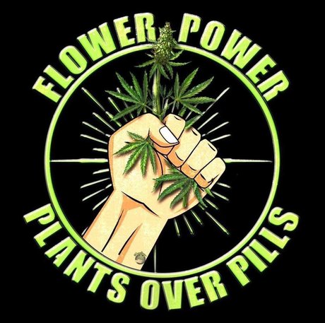 Tripledbluntz