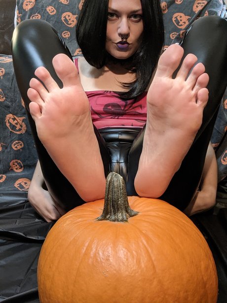 Smukkefodder