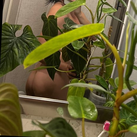 Plantfeetpics