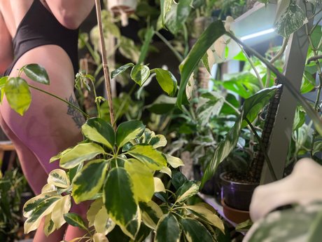 Plantfeetpics