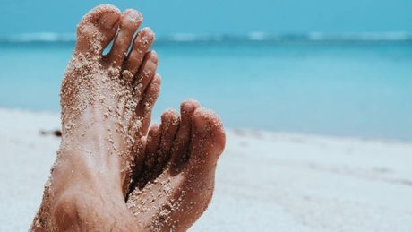 The Great Feet 