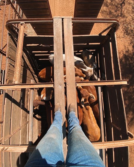 Naughtycowgirl