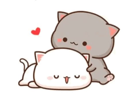 Kitten
