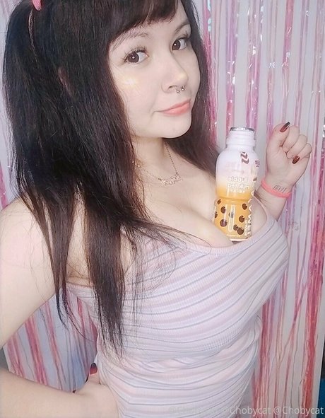 Chobycat