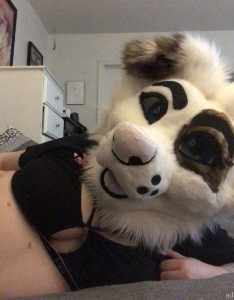 Saoirsemutt
