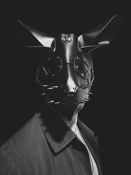 Bunny Dark
