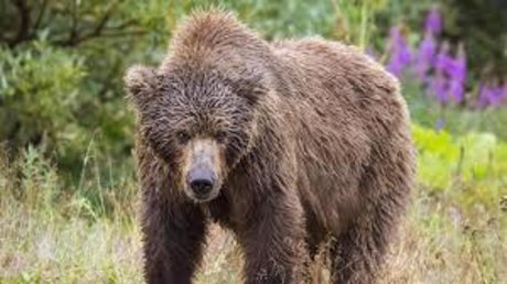 Foto desnuda filtrada de OnlyFans de Yung Bear