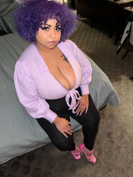 Violet Kitten
