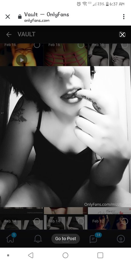 Mizzbones