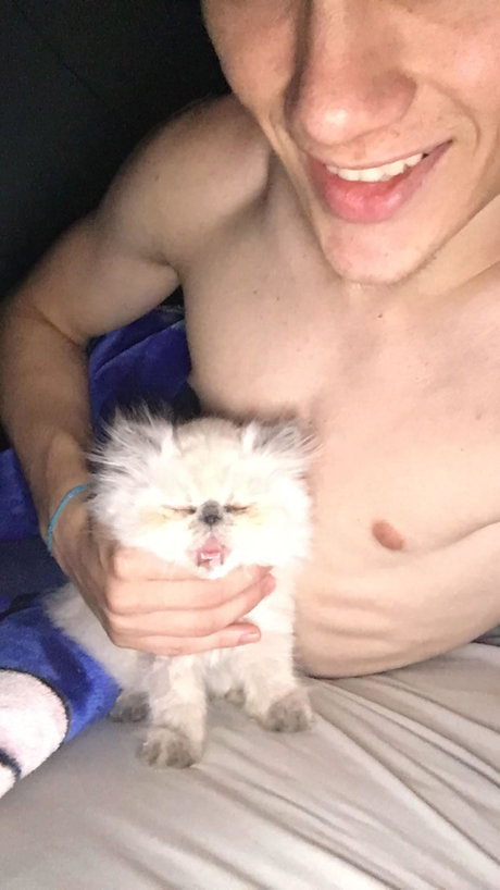 Batatinha123