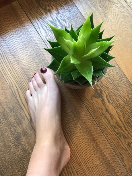 Foto desnuda filtrada de OnlyFans de Howtosqurt