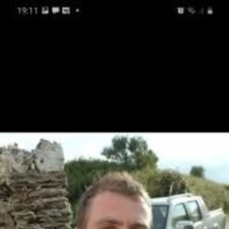 Dan
