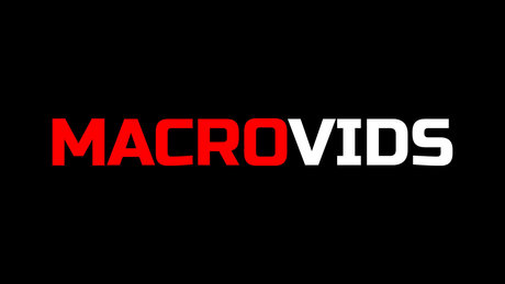 Macrovids