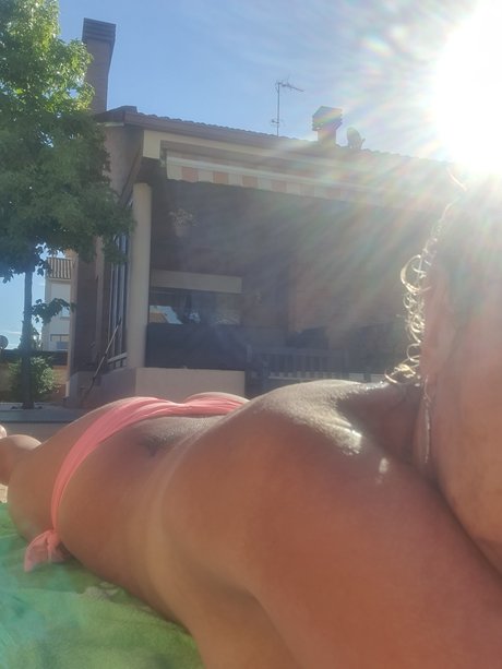 Vane242