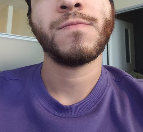 Randy Bear