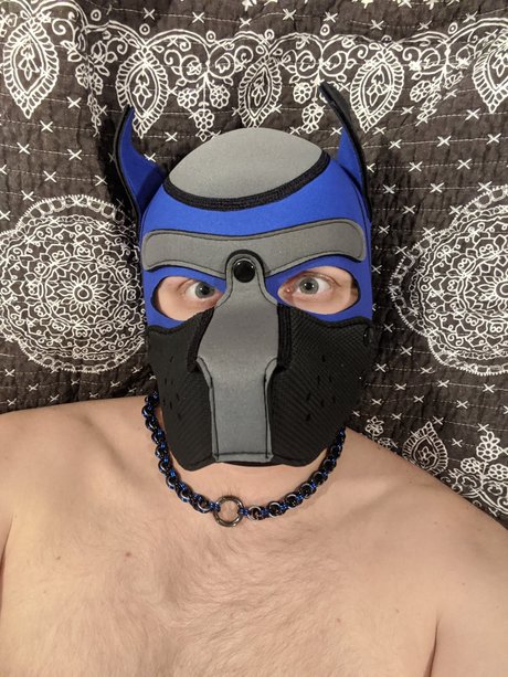 Pup Goose
