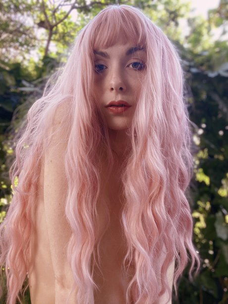 Sweet Fairy