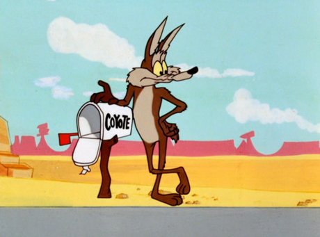 Wolfy69