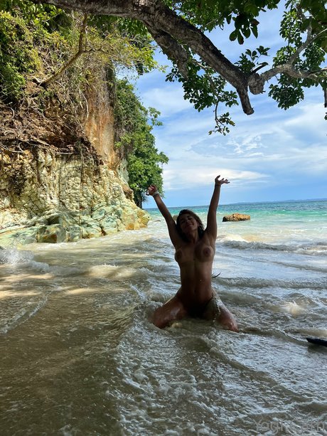 Yogi.cath