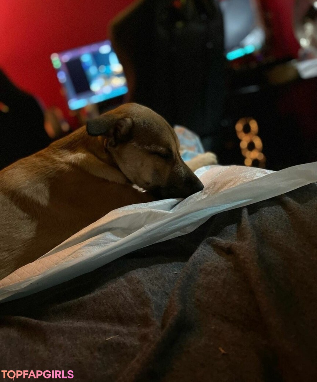 Foto desnuda filtrada de OnlyFans de Fierceified #585 Foto desnuda filtrada de OnlyFans de Fierceified #585