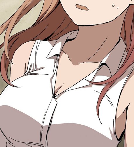Perfectroomates