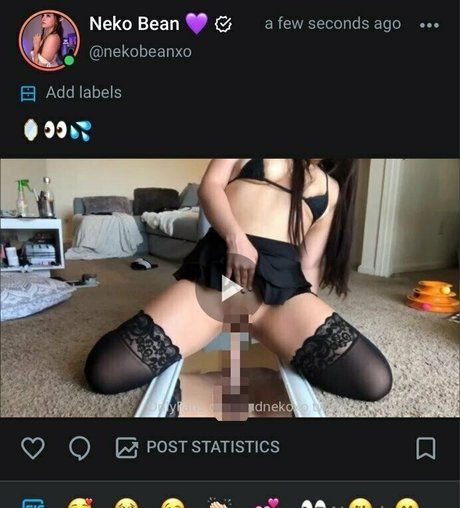 Nekobeanbb