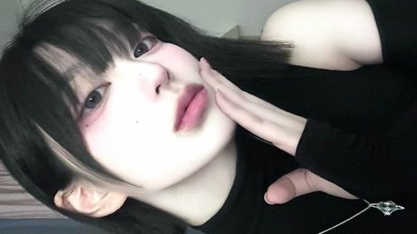 Latulip_0
