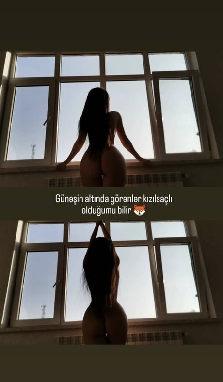 GymFoxFi