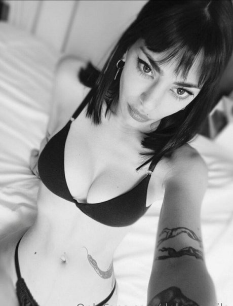 Dolcecamila
