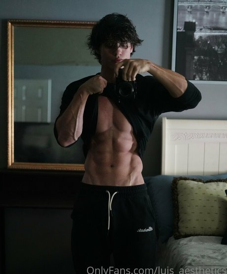 Luisaesthetics