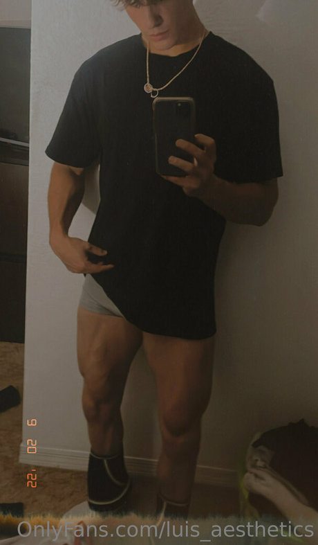 Luisaesthetics