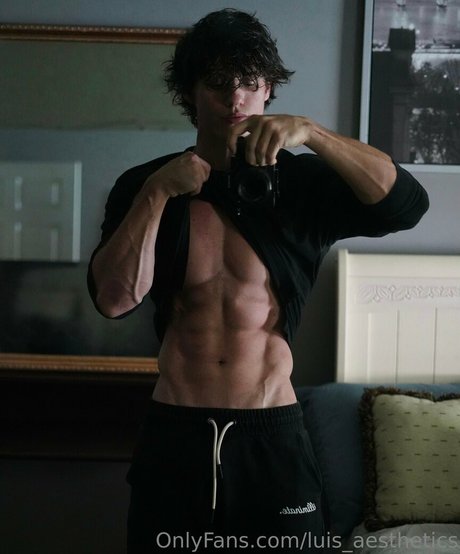 Luisaesthetics