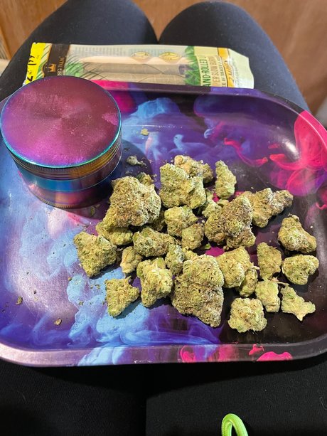 Sativa