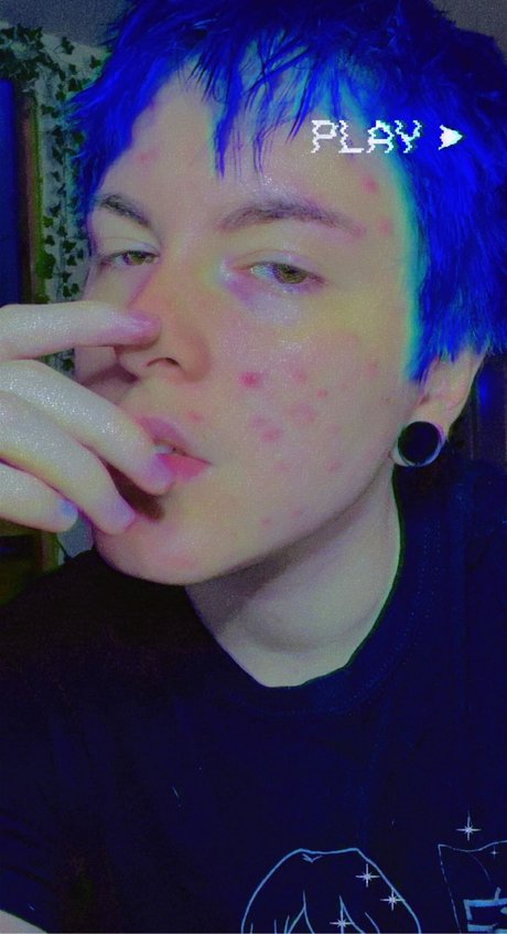Punkpuppy