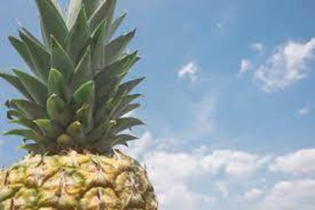 Foto desnuda filtrada de OnlyFans de Pineappleflow