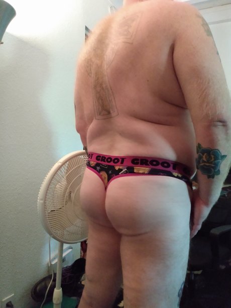 Gingerbear