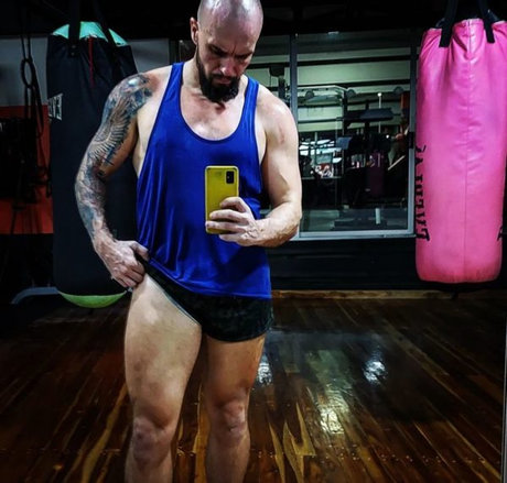 Papi Silkies 