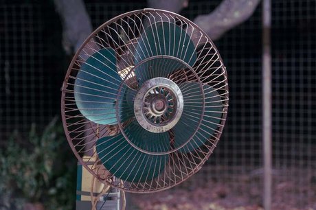 Only Fans