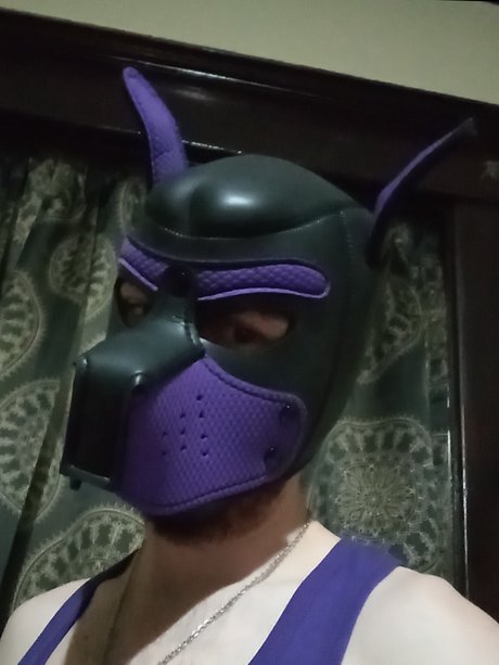 Pupdax