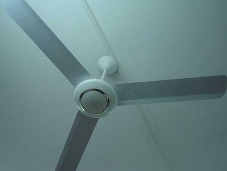 Only Fans
