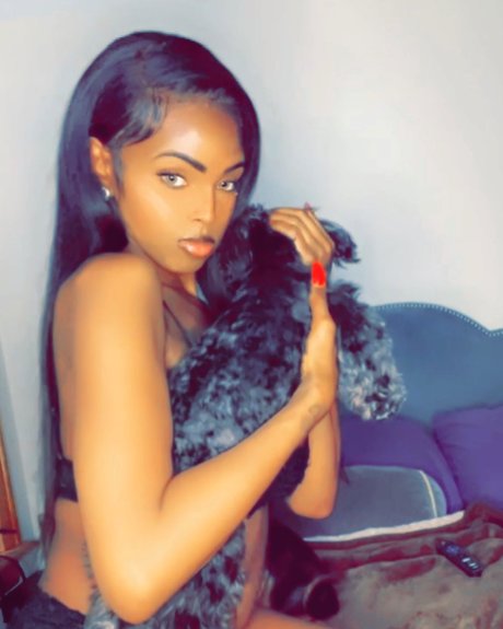 Tiara Vixen