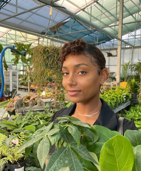 Plantbae