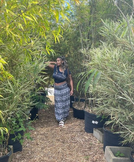 Plantbae