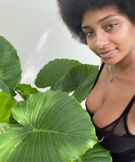 Plantbae